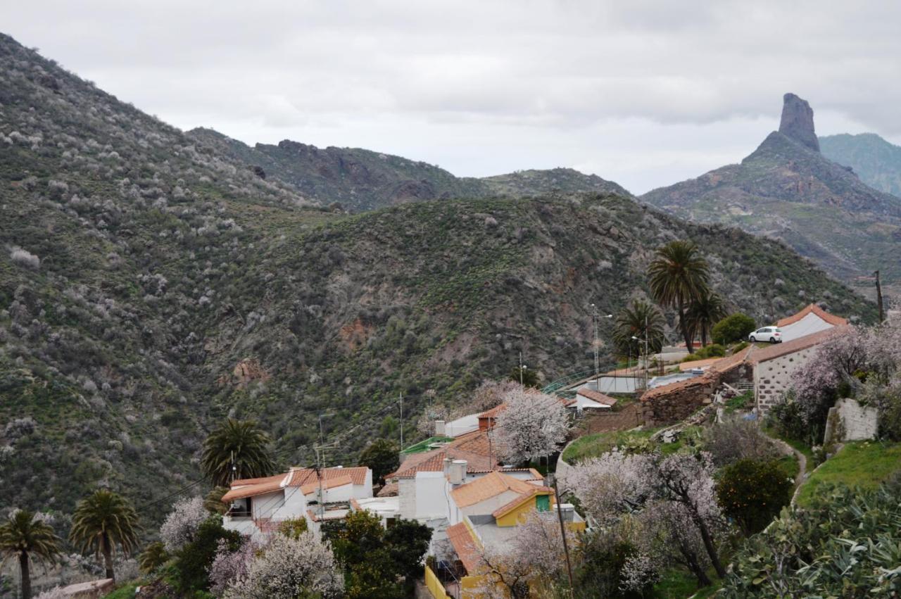 Casa Rural - Laendliches Haus, Pepita La De Las Flores Tejeda  Luaran gambar